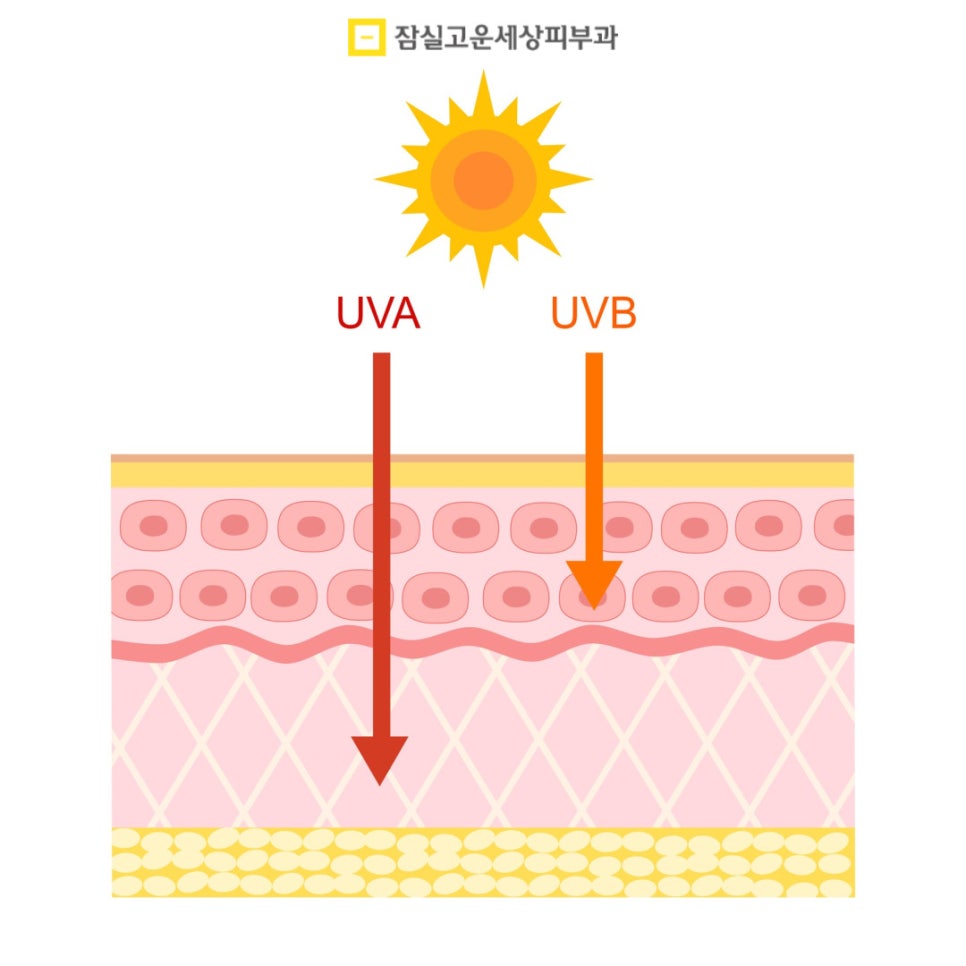 여름철, 땀과 자외선으로부터 피부를 지키는 7가지 방법 관련 이미지 5