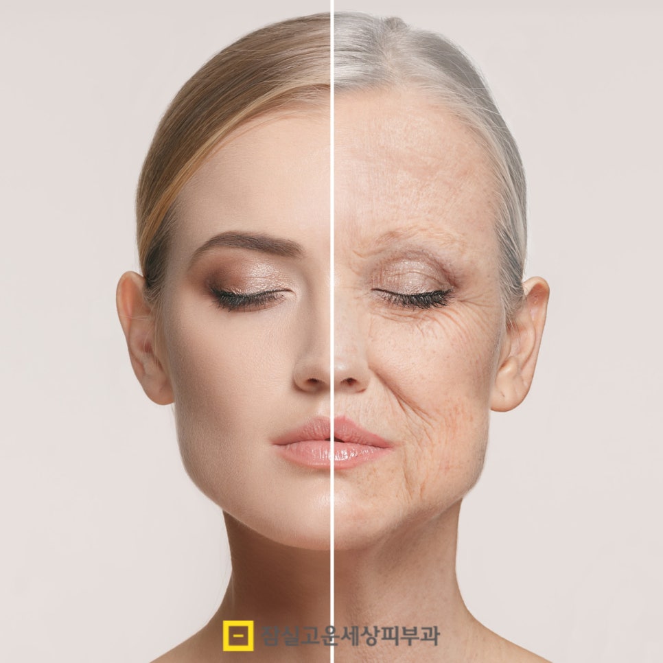 시간을 늦추는 습관, 노화 예방은 바로 지금부터 관련 이미지 2