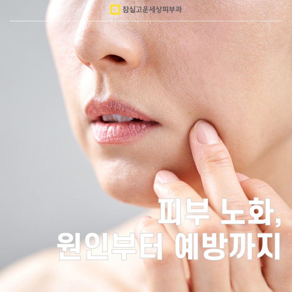 피부 노화의 모든 것, 원인부터 예방 방법까지 관련 이미지 1