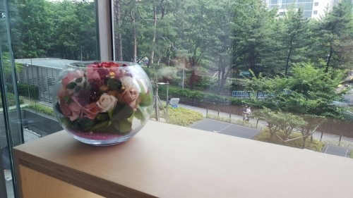 꽃향기로 가득한 잠실고운세상피부과입니다! (잠실피부과추천/잠실역피부과) 관련 이미지 13