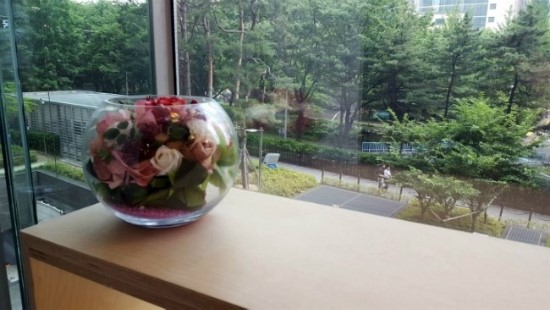 미백레이저는 잠실고운세상 TLW! (잠실고운세상피부과/잠실피부과추천) 관련 이미지 2