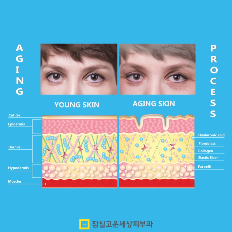 먹는 콜라겐, 정말 피부에 도움이 될까? 관련 이미지 3