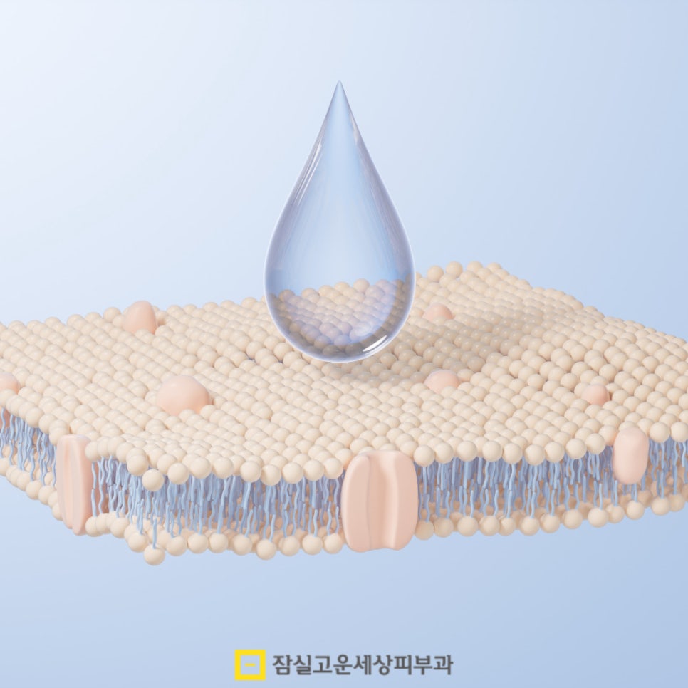 세안 후 당김이 심하다면, 단순 건조가 아닐 수도 있습니다 관련 이미지 3