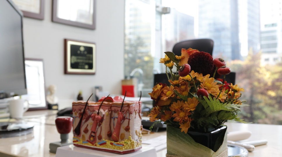 잠실고운세상피부과 레블라이트 (잠실역피부과추천/잠실기미치료) 관련 이미지 1