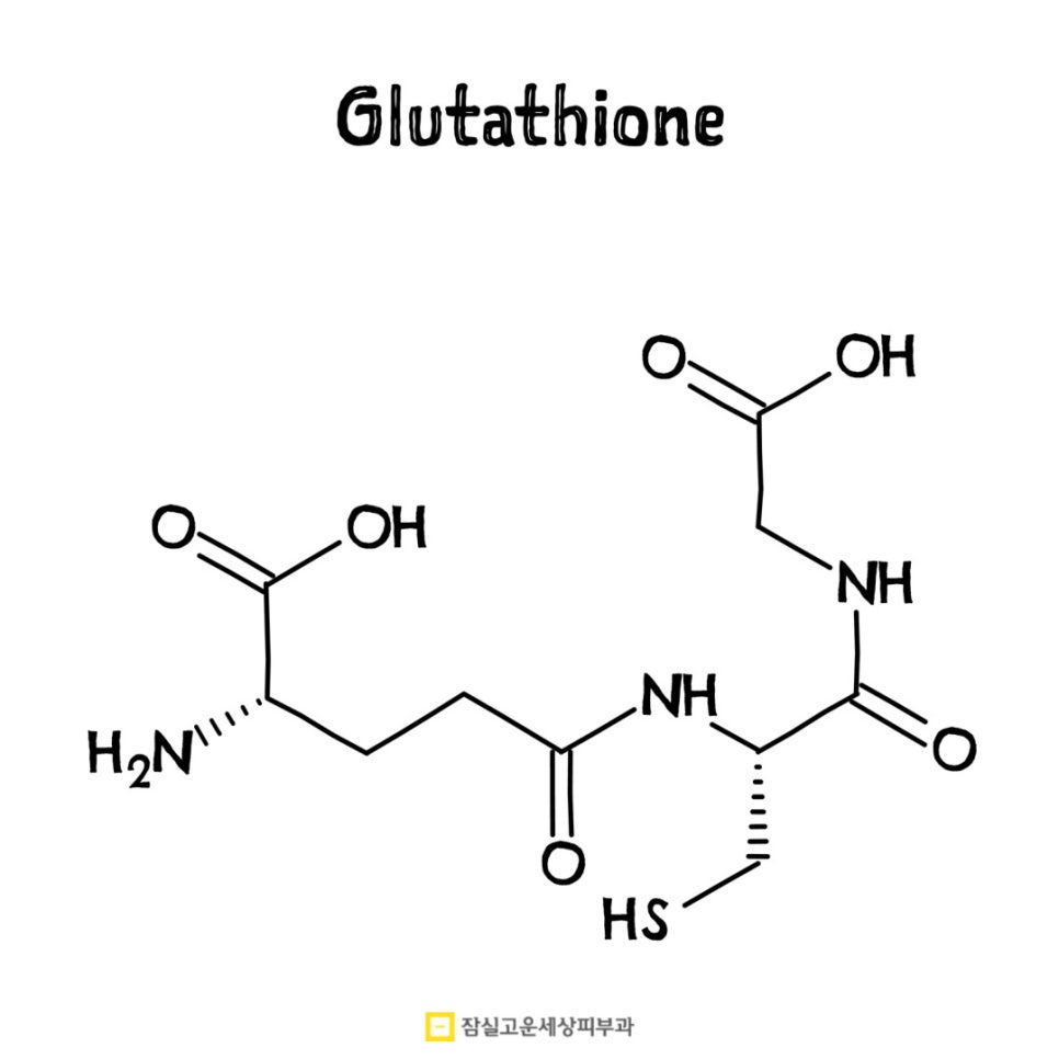 '피부 노화' 속도를 늦춰주는 영양제 & 식품 가이드 관련 이미지 5