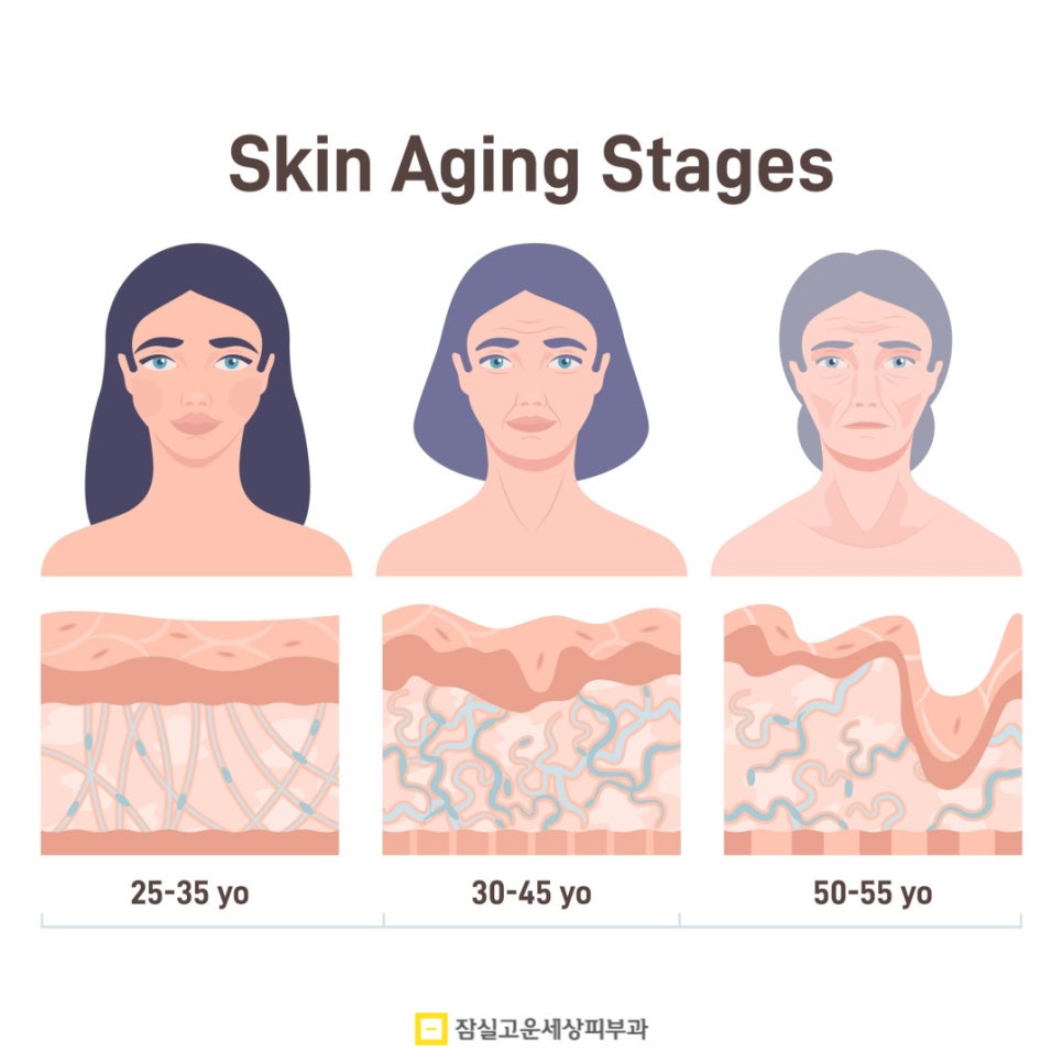 피부가 건조하다는 건 정확히 어떤 상태를 말하나요? 관련 이미지 7