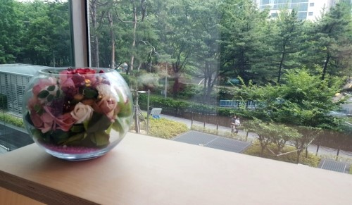 지긋지긋한 여름 여드름, 잠실피부과에서 관리부터 치료법까지 제대로 알아봐요! (잠실고운세상피부과/잠실피부과추천/잠실PDT/잠실여드름/잠실역피부과) 관련 이미지 8