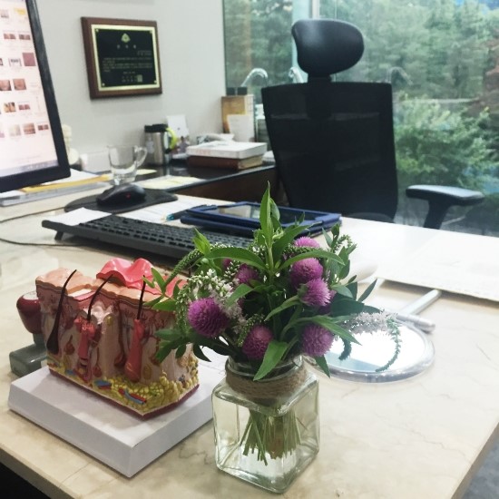 잠실고운세상피부과 테오시알필러 (잠실필러/잠실피부과추천) 관련 이미지 1