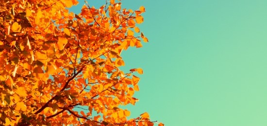 잠실고운세상피부과에서 알려드리는 가을 피부 관리 방법입니다! (잠실피부과추천/잠실역피부과) 관련 이미지 2