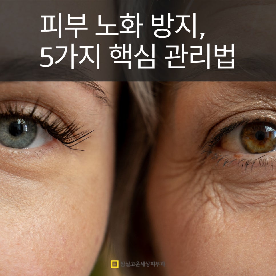 피부 노화 방지를 위한 5가지 핵심 관리법 관련 이미지 1