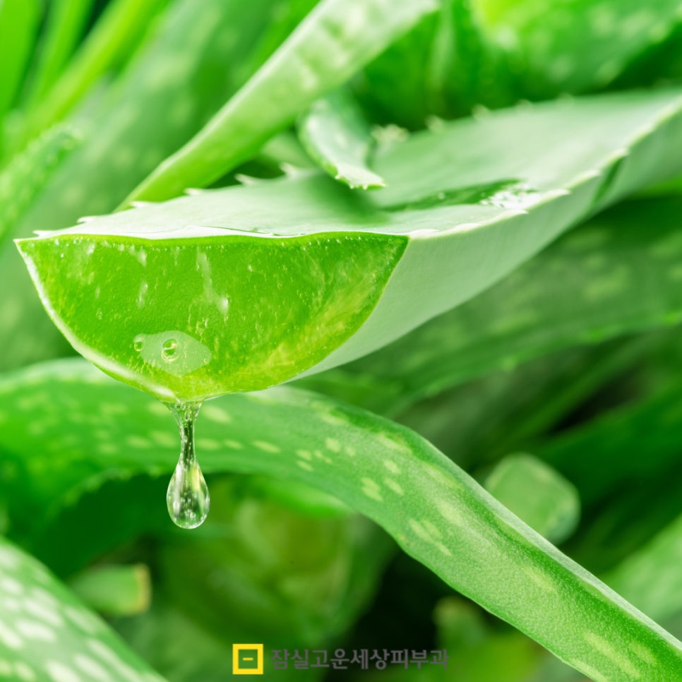 여드름 색소침착, 자연치유를 돕는 관리법 관련 이미지 9