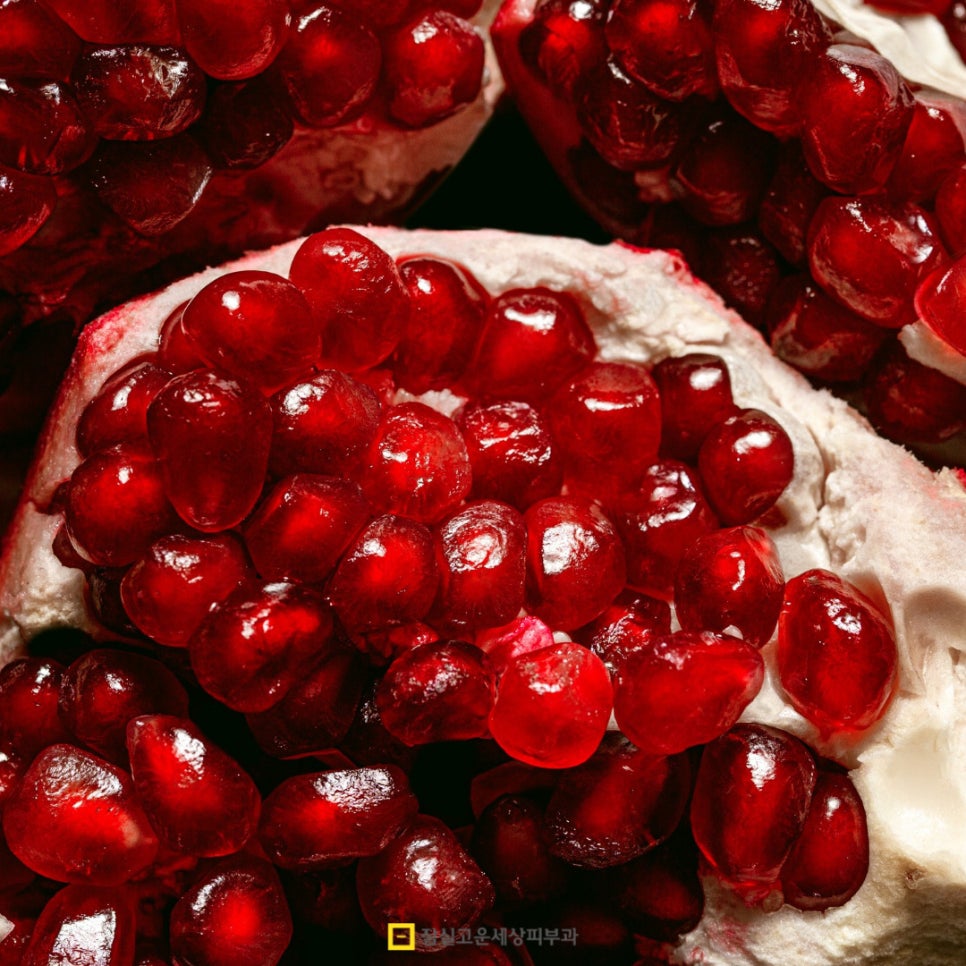 '피부 노화' 속도를 늦춰주는 영양제 & 식품 가이드 관련 이미지 8