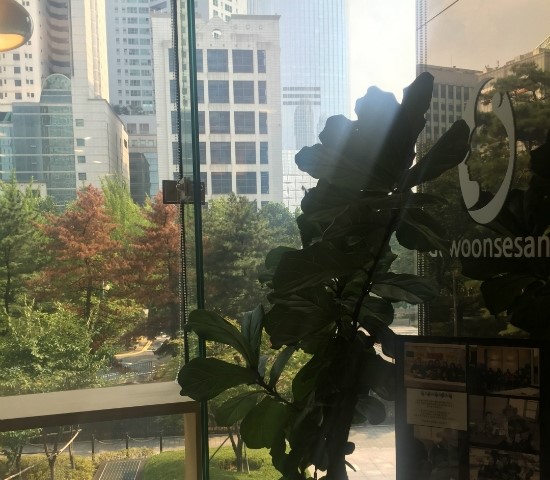 잠실고운세상의 피부정밀측정기 야누스 (잠실피부과추천/피부진단기) 관련 이미지 1