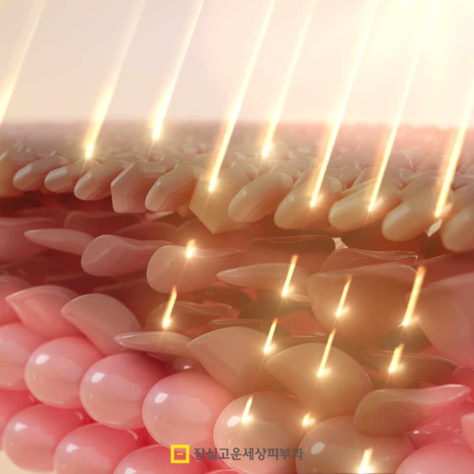 탄력 있는 피부, 나이가 들수록 더 &lsquo;관리해야&rsquo; 지켜집니다 관련 이미지 5