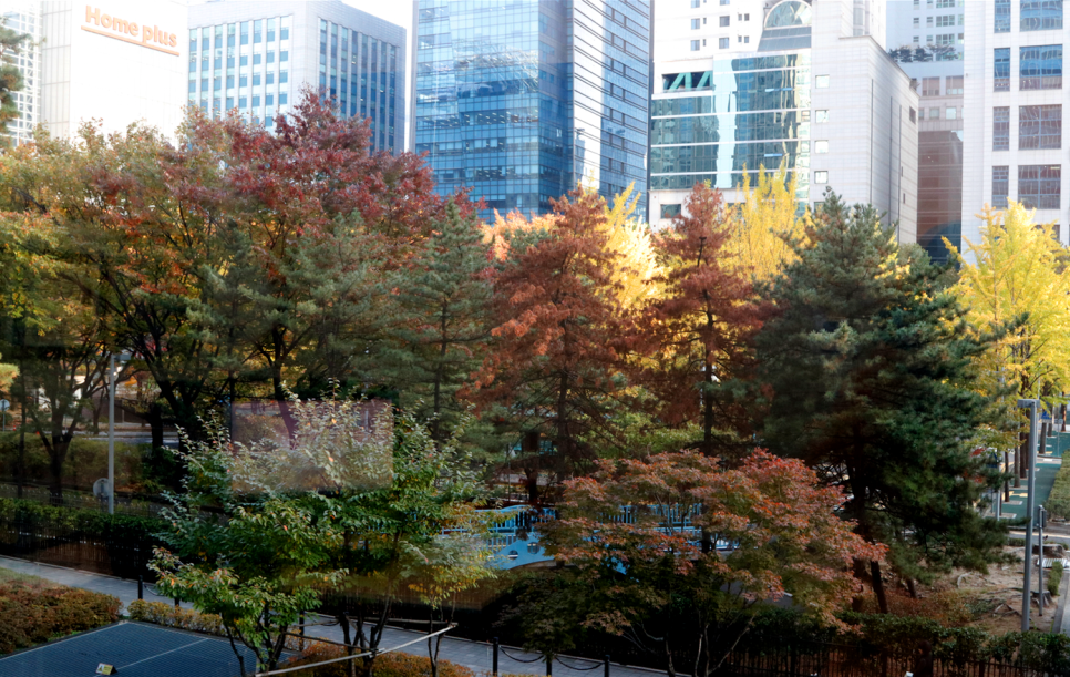 환절기 피부관리는 잠실고운세상피부과에서! (잠실피부과추천/잠실역피부과) 관련 이미지 1