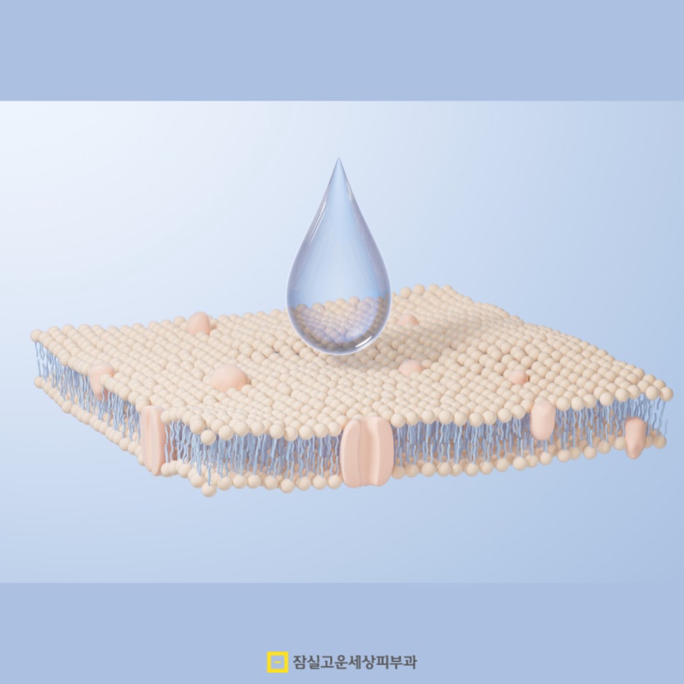 피부가 건조하다는 건 정확히 어떤 상태를 말하나요? 관련 이미지 2