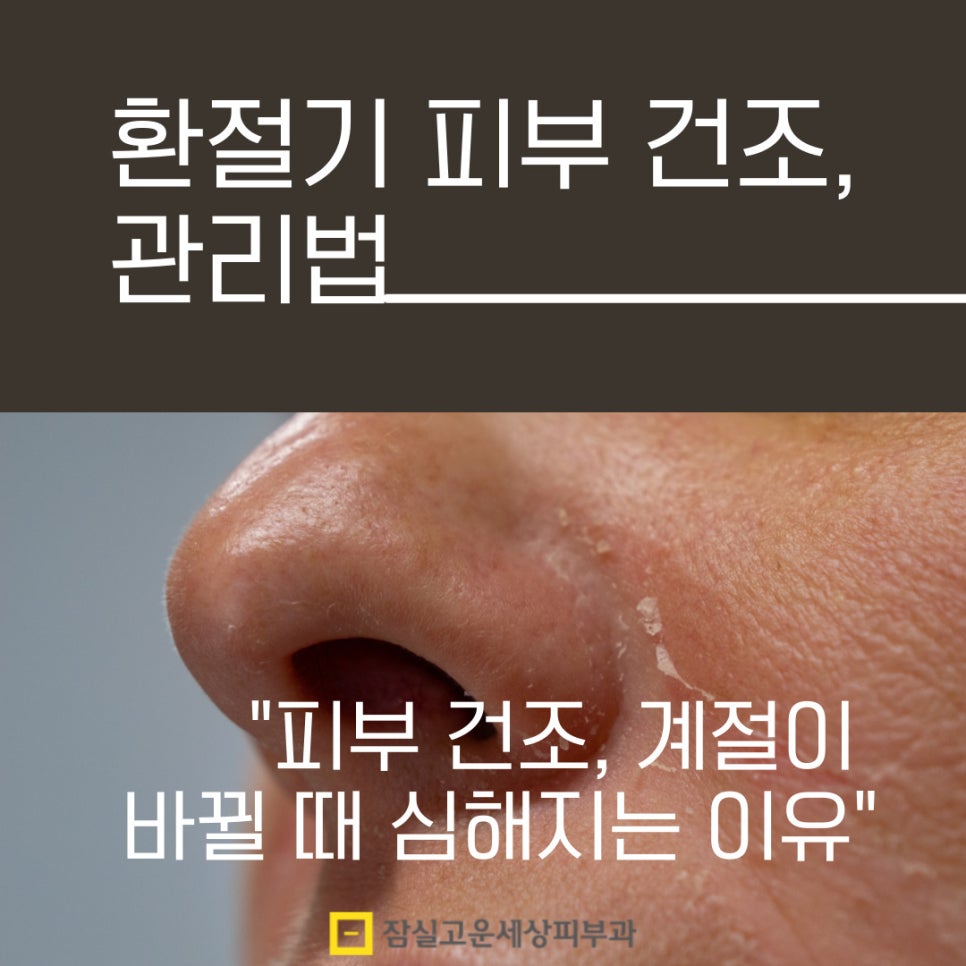 환절기에 더 심해지는 피부 건조, 어떻게 관리해야 할까? 관련 이미지 1