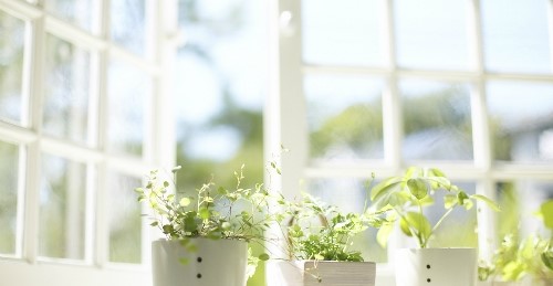 자외선차단제 실내에서도 발라야할까요? 잠실고운세상피부과의 스킨다이어리에서 확인하세요! (잠실고운세상피부과/잠실여드름/잠실역근처피부과) 관련 이미지 2