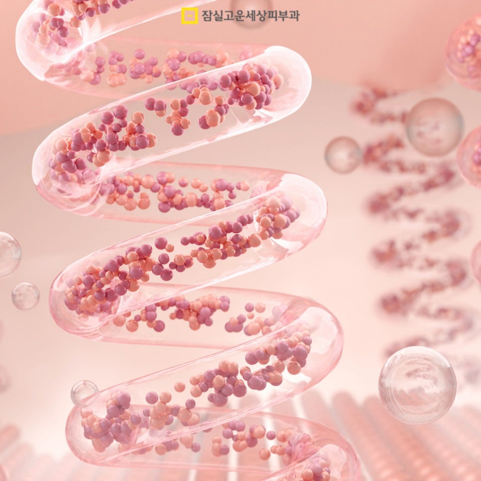 피부 노화의 모든 것, 원인부터 예방 방법까지 관련 이미지 6