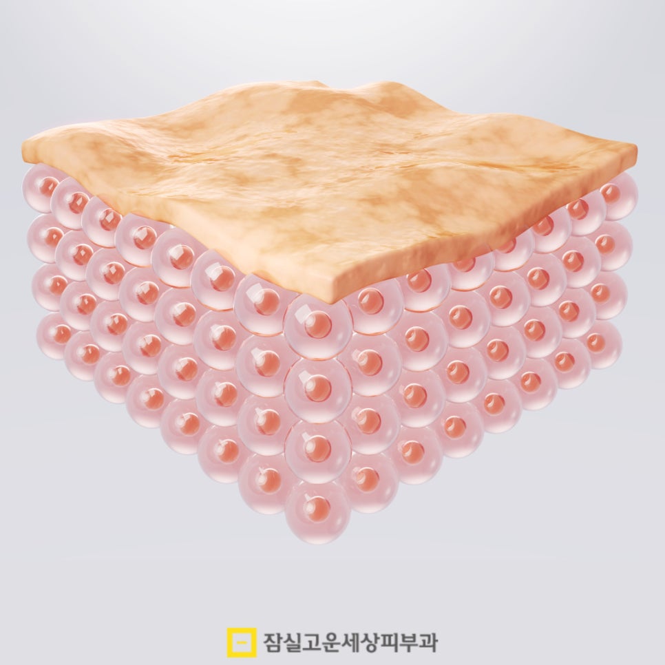 환절기 피부 고민, 결국 답은 속부터 채우는 것 관련 이미지 6