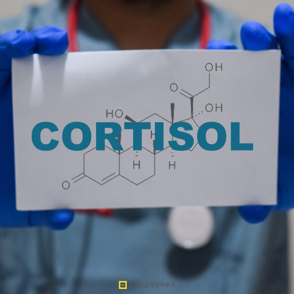 성인 여드름, 사춘기 때 끝난 줄 알았는데 다시 시작된 이유 관련 이미지 4