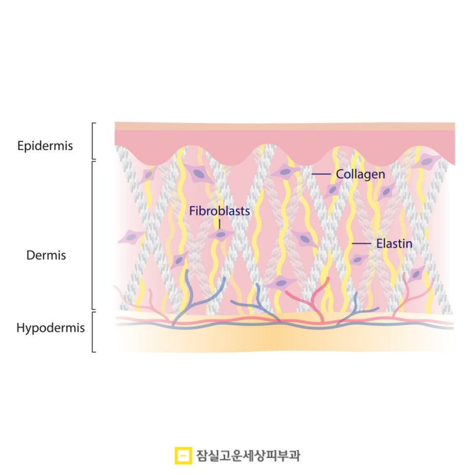 고주파 리프팅, 언제 받는게 가장 효과적일까? 관련 이미지 3