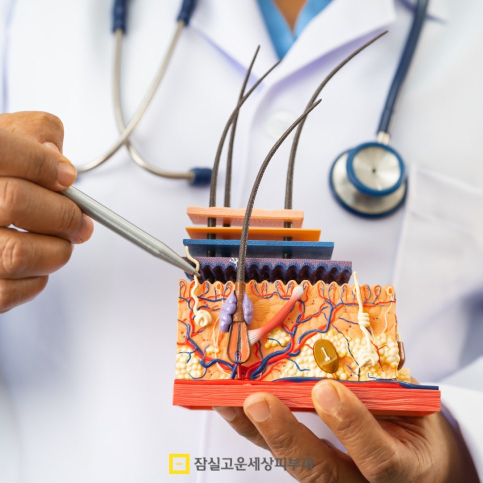 환절기 피부 고민, 딱 1가지 시술만 받는다면? 관련 이미지 2