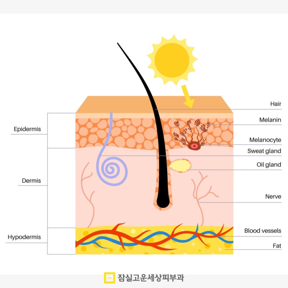 피부관리정보, 올 여름 자외선부터 모공까지 한 번에 잡는 비법 관련 이미지 2