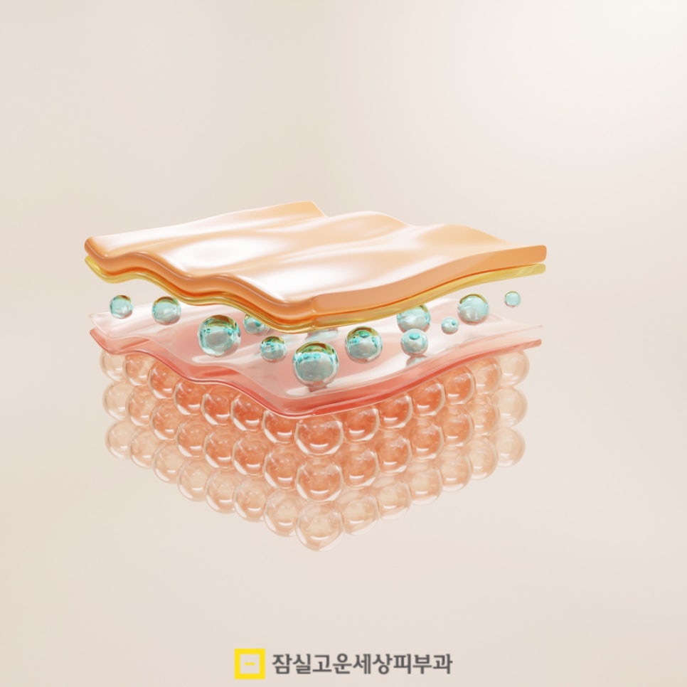 환절기 피부 고민, 결국 답은 속부터 채우는 것 관련 이미지 8