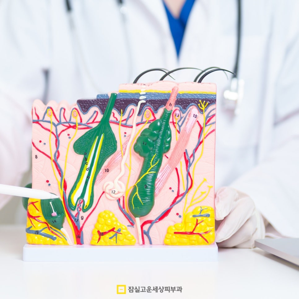 여드름, 반복되는 고민에서 벗어나려면? 관련 이미지 14