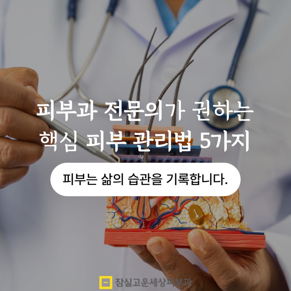 피부과 전문의가 권하는 핵심 피부관리법 5가지 관련 이미지 1
