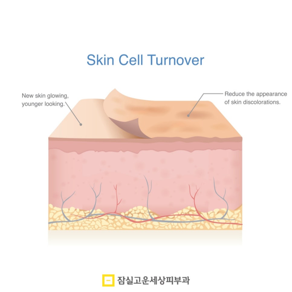 진정이냐 보습이냐, 환절기 피부에 필요한 건? 관련 이미지 6