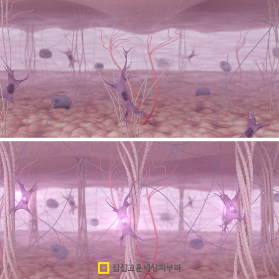 2030세대를 위한 피부 나의 멈추는 루틴(씻고, 바르고, 먹고, 자는 습관부터) 관련 이미지 6