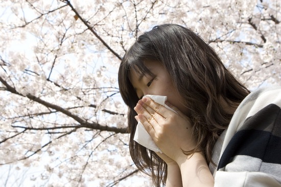 봄철피부주의보! 잠실피부과 알레르기피부염 (잠실고운세상/고운세상피부과) 관련 이미지 3