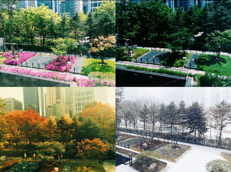 봄철피부주의보! 잠실피부과 알레르기피부염 (잠실고운세상/고운세상피부과) 관련 이미지 1