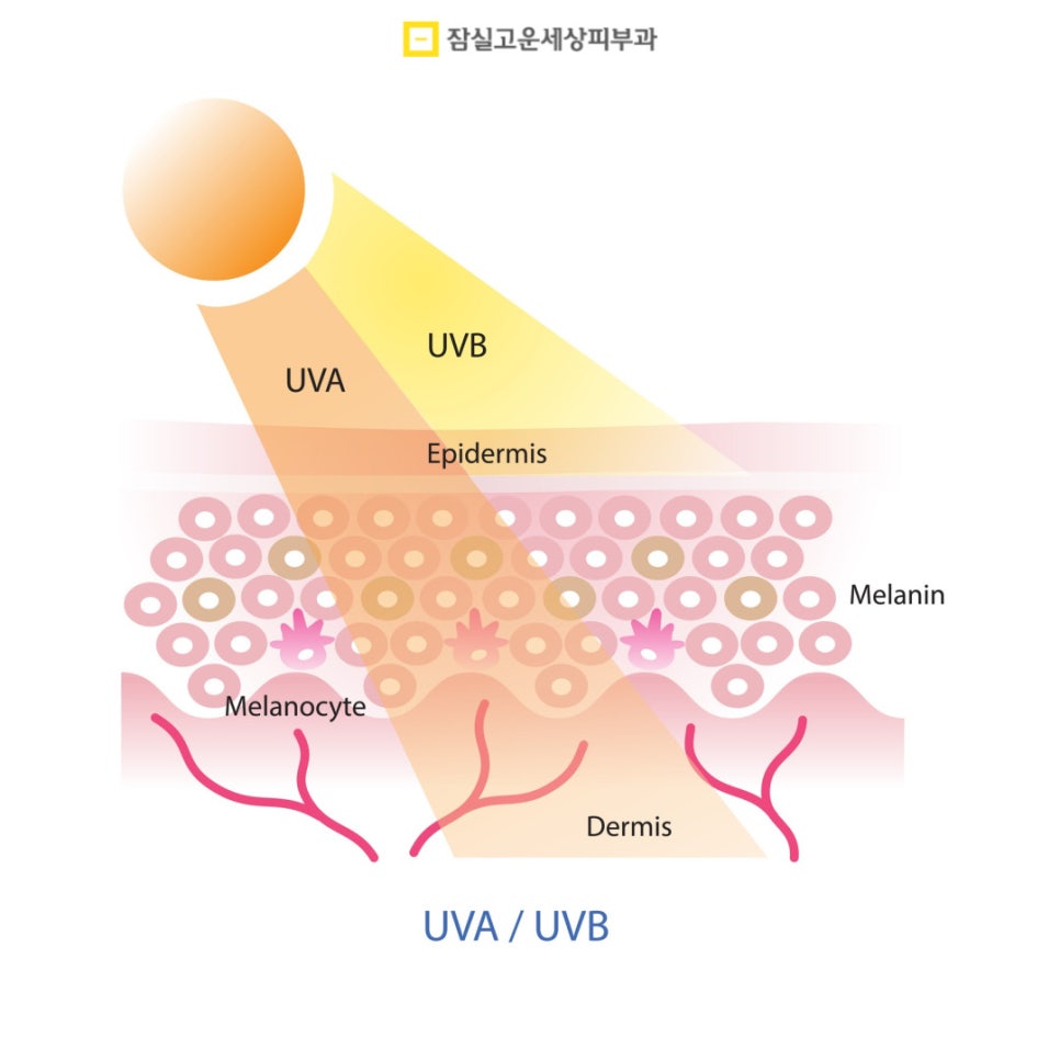 피부관리정보, 무더위에도 빛나는 맑은 피부를 위한 실전 가이드 관련 이미지 3