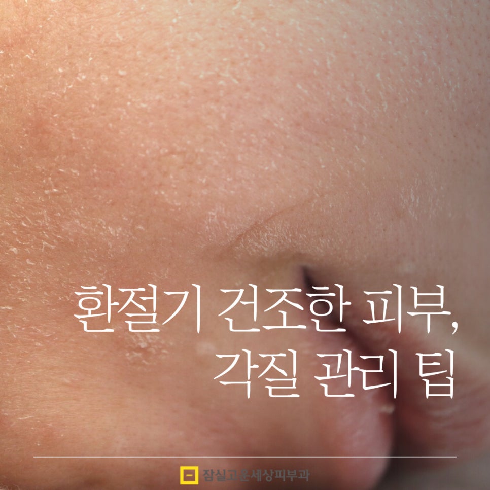 환절기 건조한 피부, 각질 관리 팁 관련 이미지 1