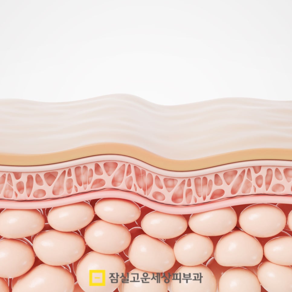 세안법만 바꿔도 환절기 피부 자극 50% 줄일 수 있어요 관련 이미지 2