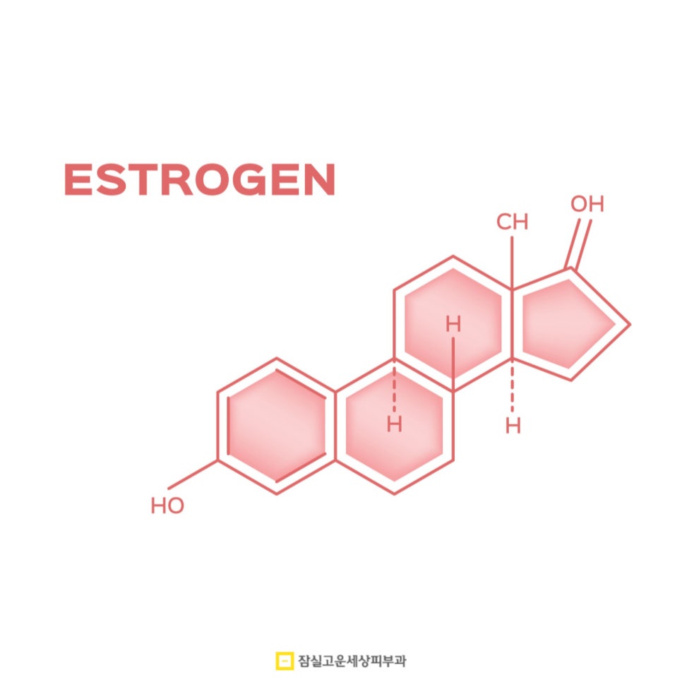 성인 여드름, 사춘기 때 끝난 줄 알았는데 다시 시작된 이유 관련 이미지 3