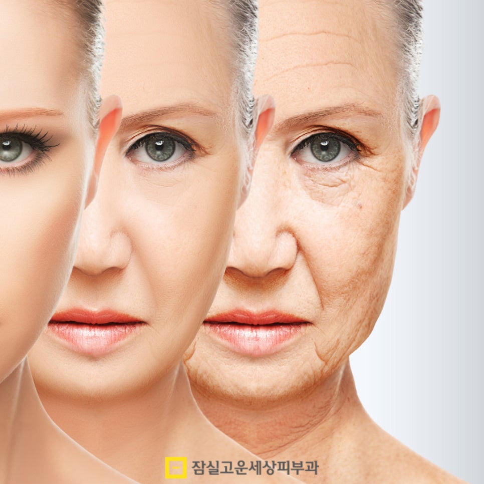 피부 건조, 원인부터 관리까지 알아보기 관련 이미지 5