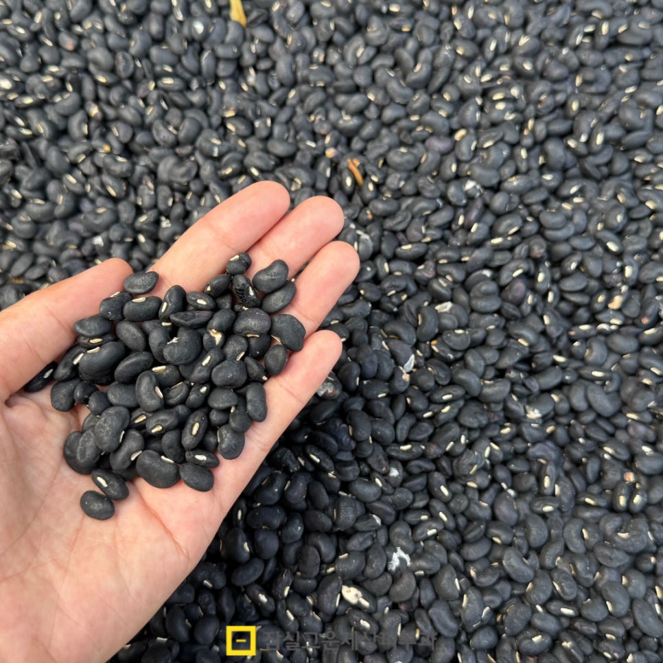 [잠실고운세상피부과] 여드름, &lsquo;음식&rsquo;이 좌우한다. 관련 이미지 8