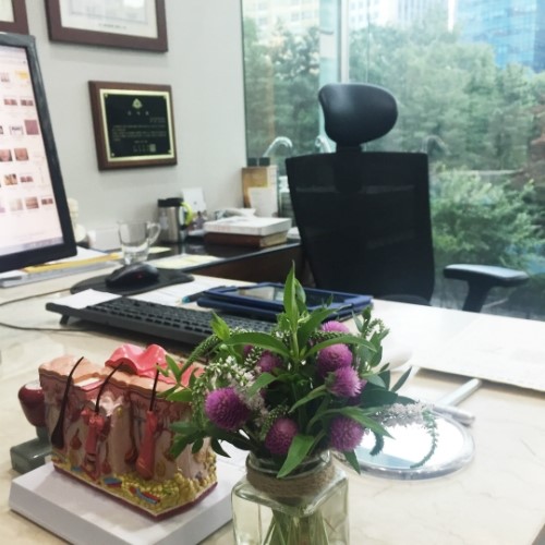 꽃향기로 가득한 잠실고운세상피부과입니다! (잠실피부과추천/잠실역피부과) 관련 이미지 19