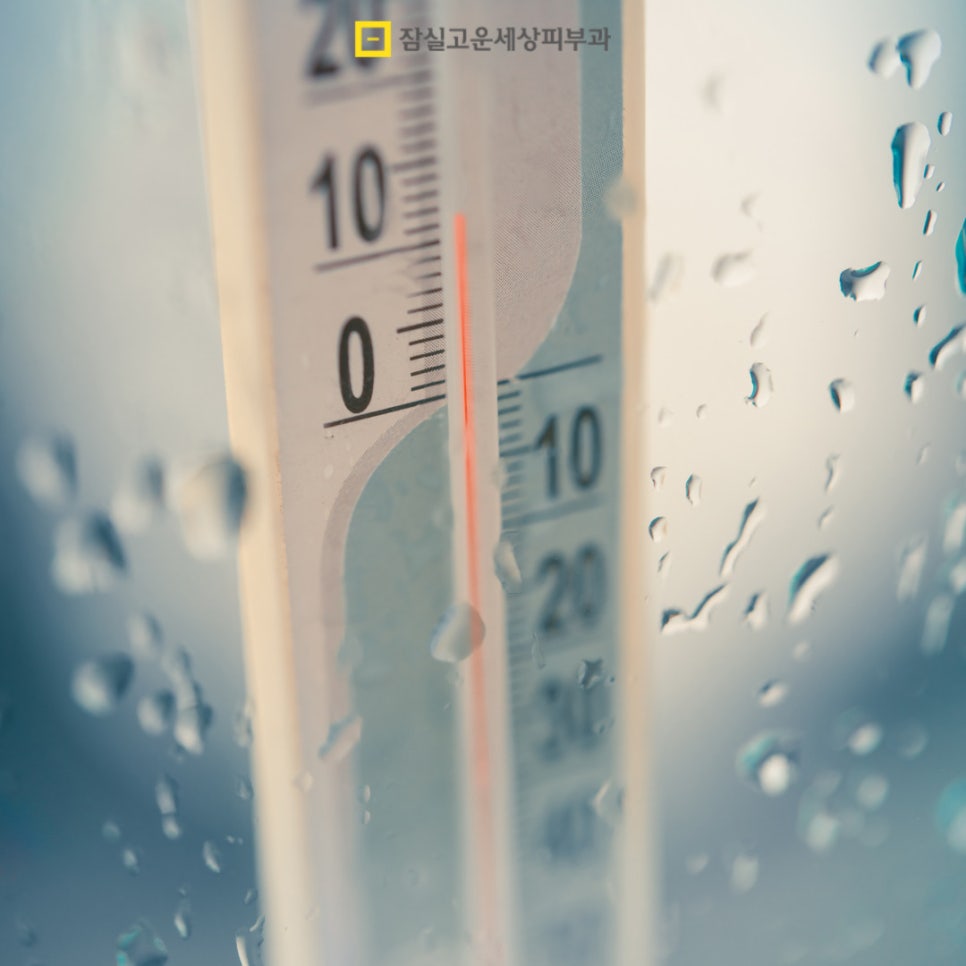 수분부족형 지성, 환절기에 더 건조해지는 이유 관련 이미지 4