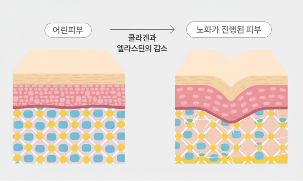 Changing Facial Contours Every Season? Finding Balance with the Mini Lifting Duration and the Approach of a Plastic Surgery Clinic in Nonhyeon-dong image 4