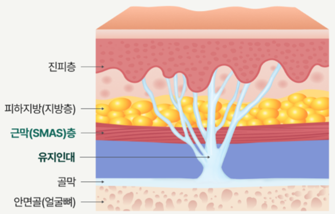 Facelift Gangnam Plastic Surgery Recommendation: Tips Shared by Leeting image 3