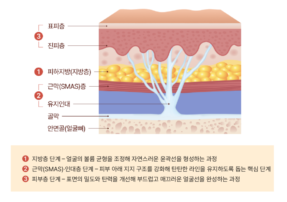 심부볼제거와 안면윤곽수술, 얼굴의 흐름을 디자인하는 리팅성형외과 서울점 또 다른 방법 관련 이미지 7
