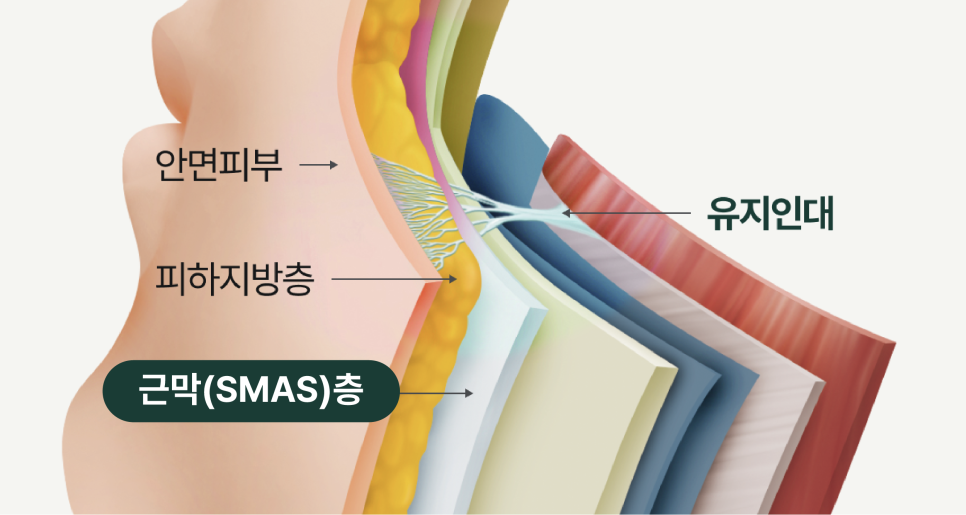 신사이마리프팅으로 달라지는 동안 한끗, 리프팅성형외과 전문의가 밝히는 결정적 차이 관련 이미지 8