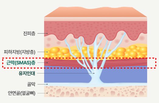 Facelift Surgery Price at a Lifting Plastic Surgery Clinic: Why Does It Vary So Much Depending on This? image 4