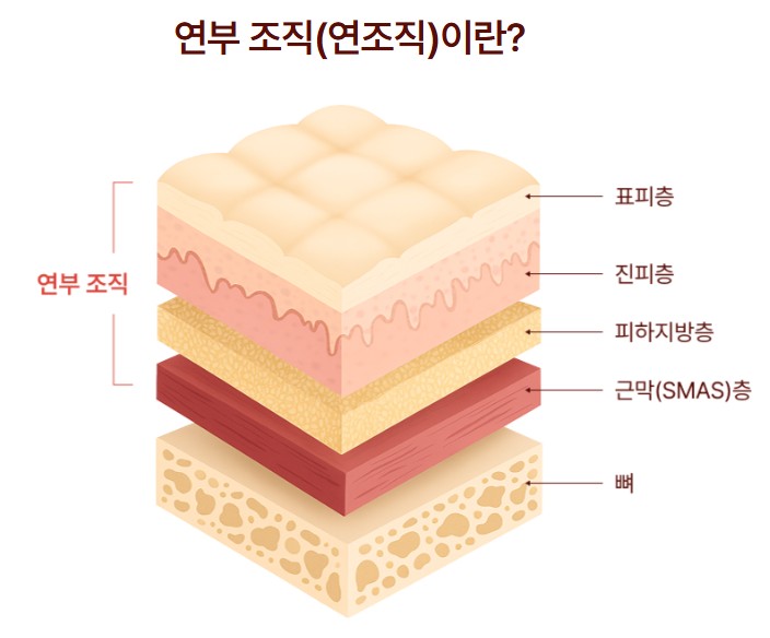 Sinsa Station Lifting Plastic Surgery Clinic Mini Contouring: How to Refine Facial Lines Without Bone Reduction | Liting Plastic Surgery Seoul Branch image 4