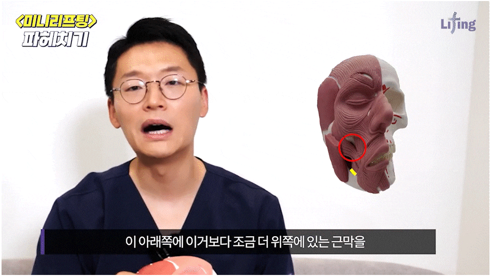 논현역성형외과｜계절이 바뀔 때마다 달라지는 얼굴선, 논현미니리프팅으로 균형 잡다 관련 이미지 8